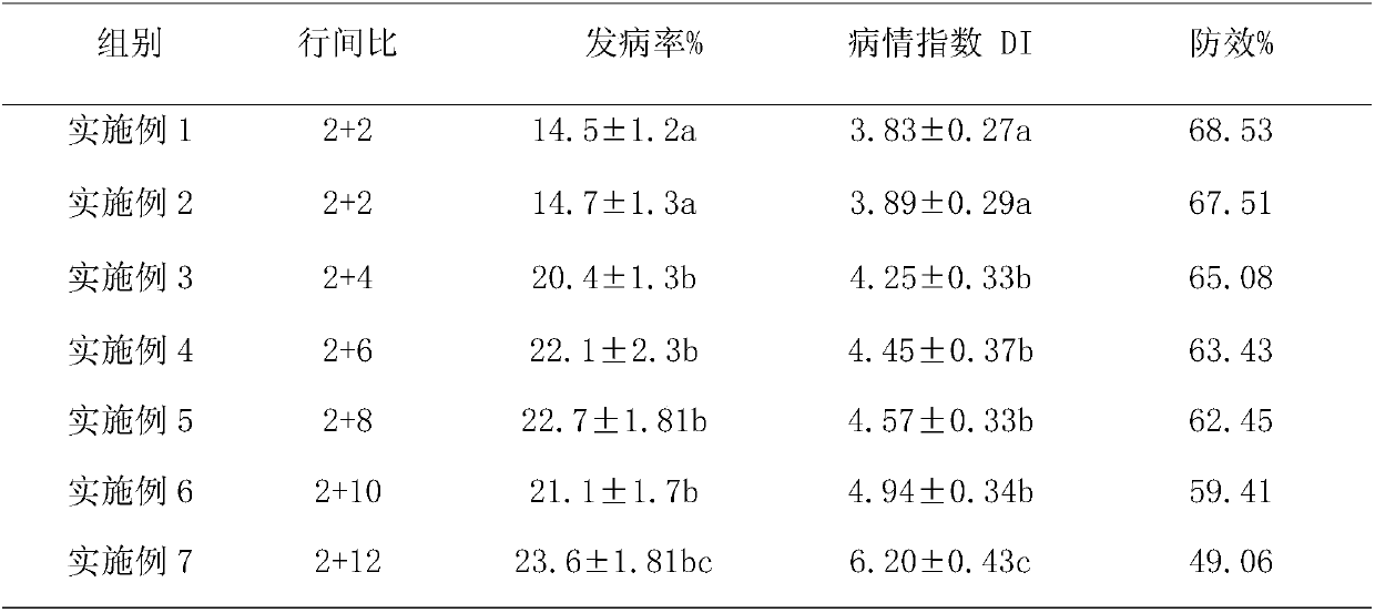 Green planting method for controlling diseases and insect pests in rice field