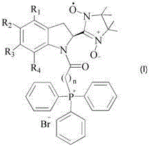 Mitochondrial function protecting agent, preparation method therefor and application thereof