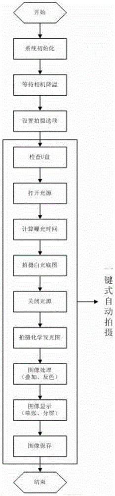 Full-automatic chemiluminiscent imaging device