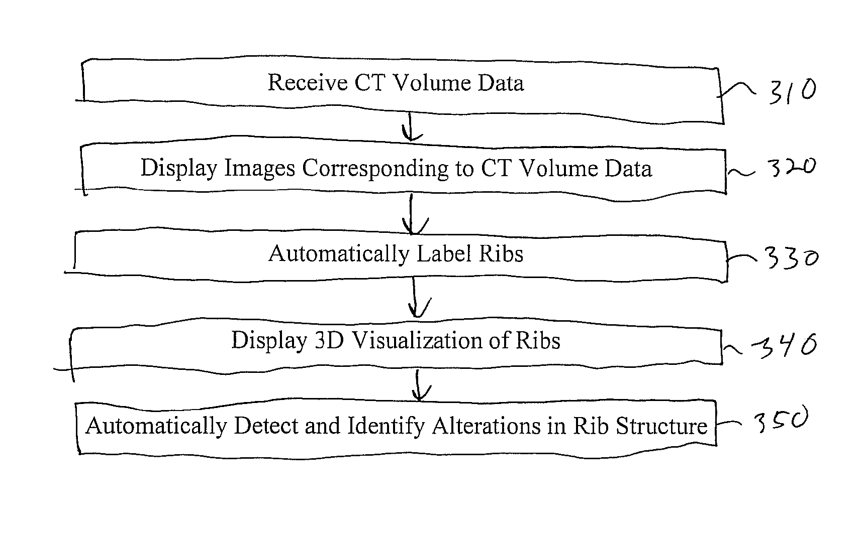 System and method for enhanced viewing of rib metastasis