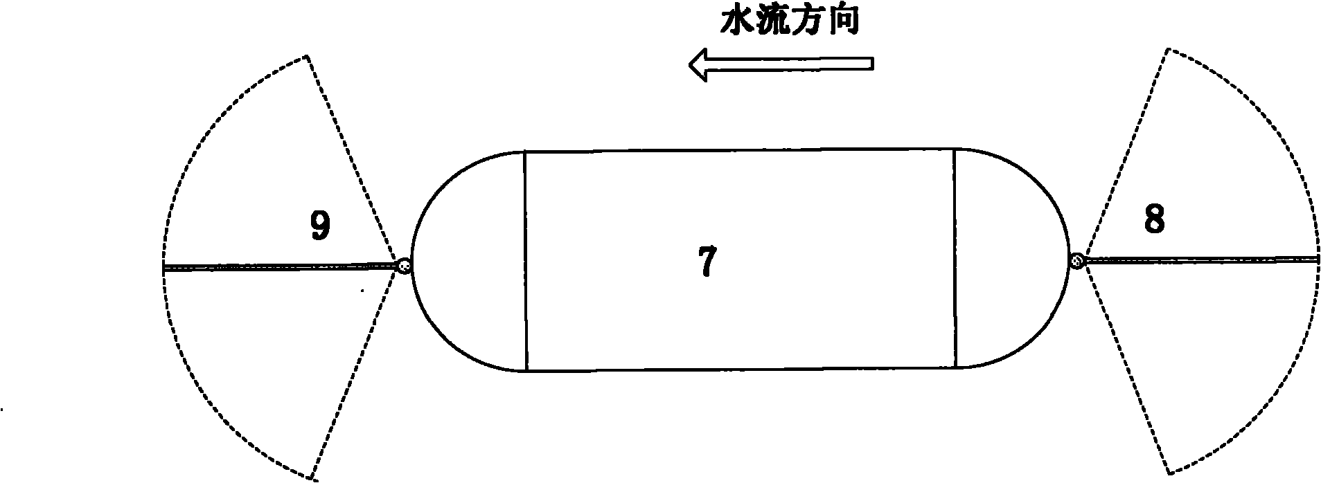 System for observing local scour of pier