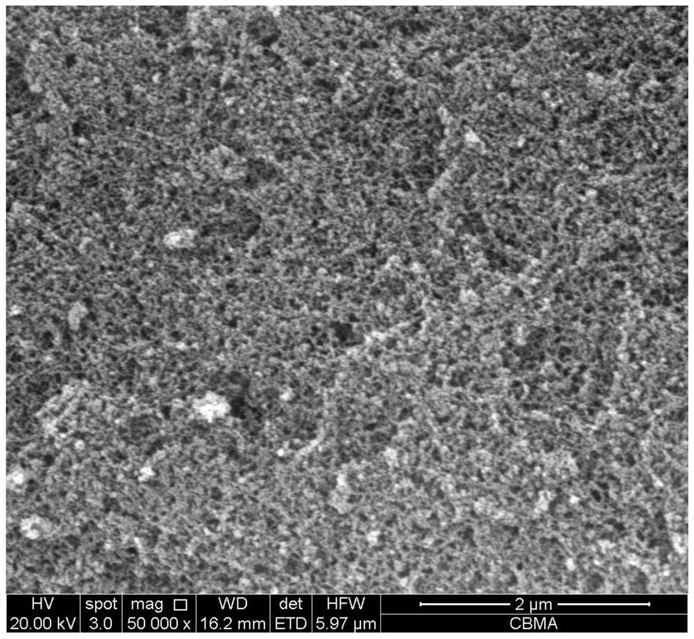 Method for preparing silica aerogel using industrial solid waste fly ash and silica aerogel prepared by the method