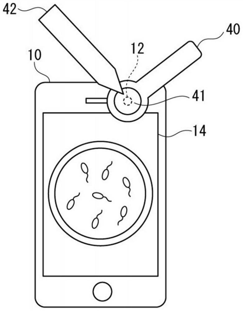 Report device, report method, report program, and report system