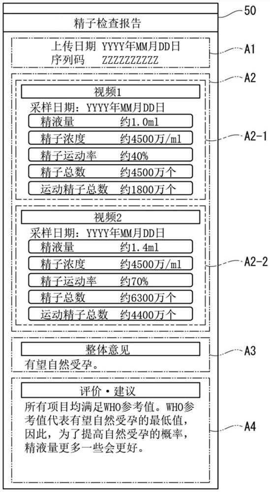 Report device, report method, report program, and report system