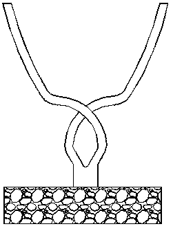 Improved Y-shaped shaping method suitable for peach