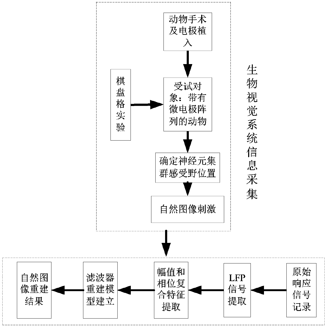 Natural image reconstruction method based on local field potential amplitude-phase composite features