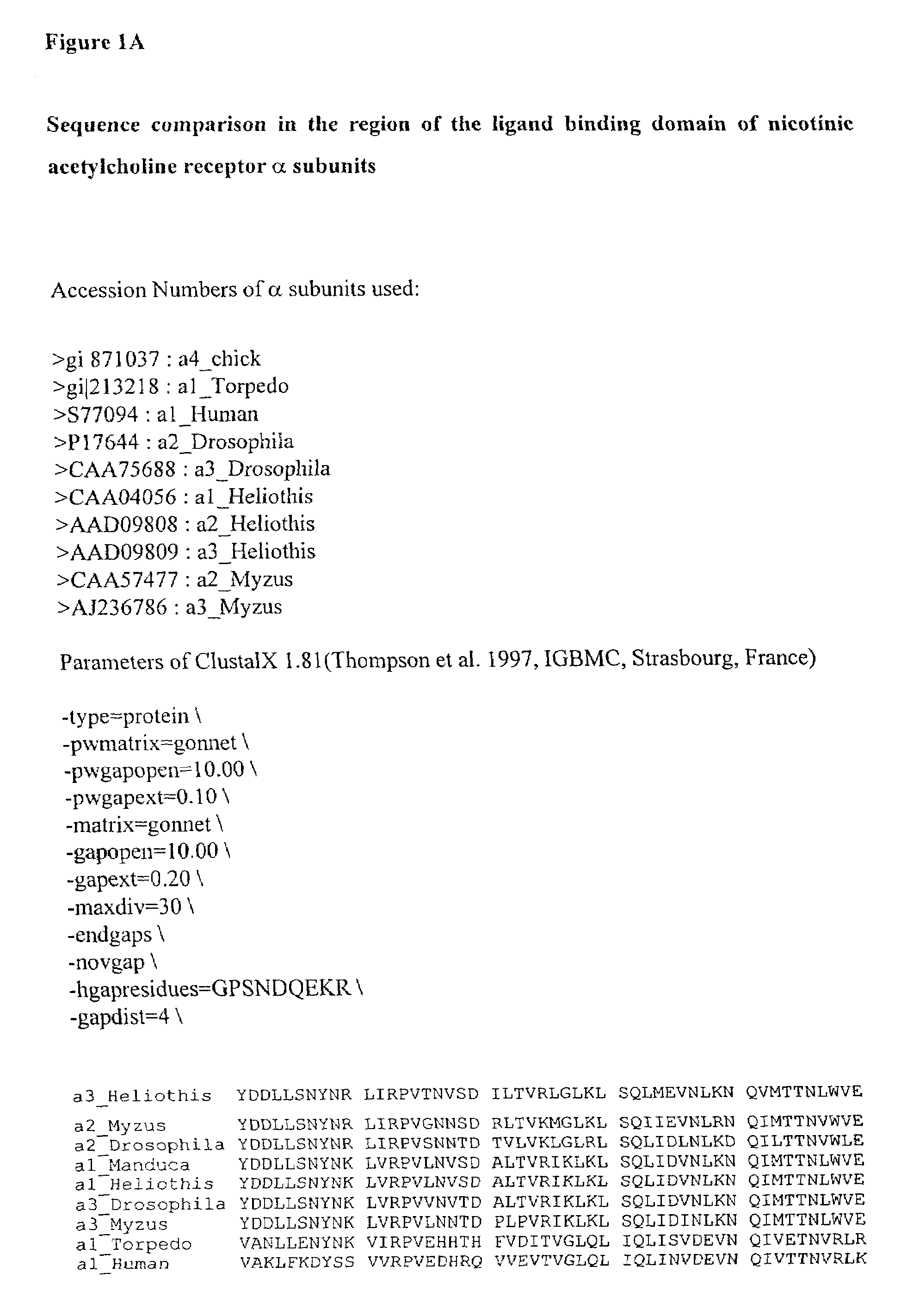 Acetylcholine receptor subunits