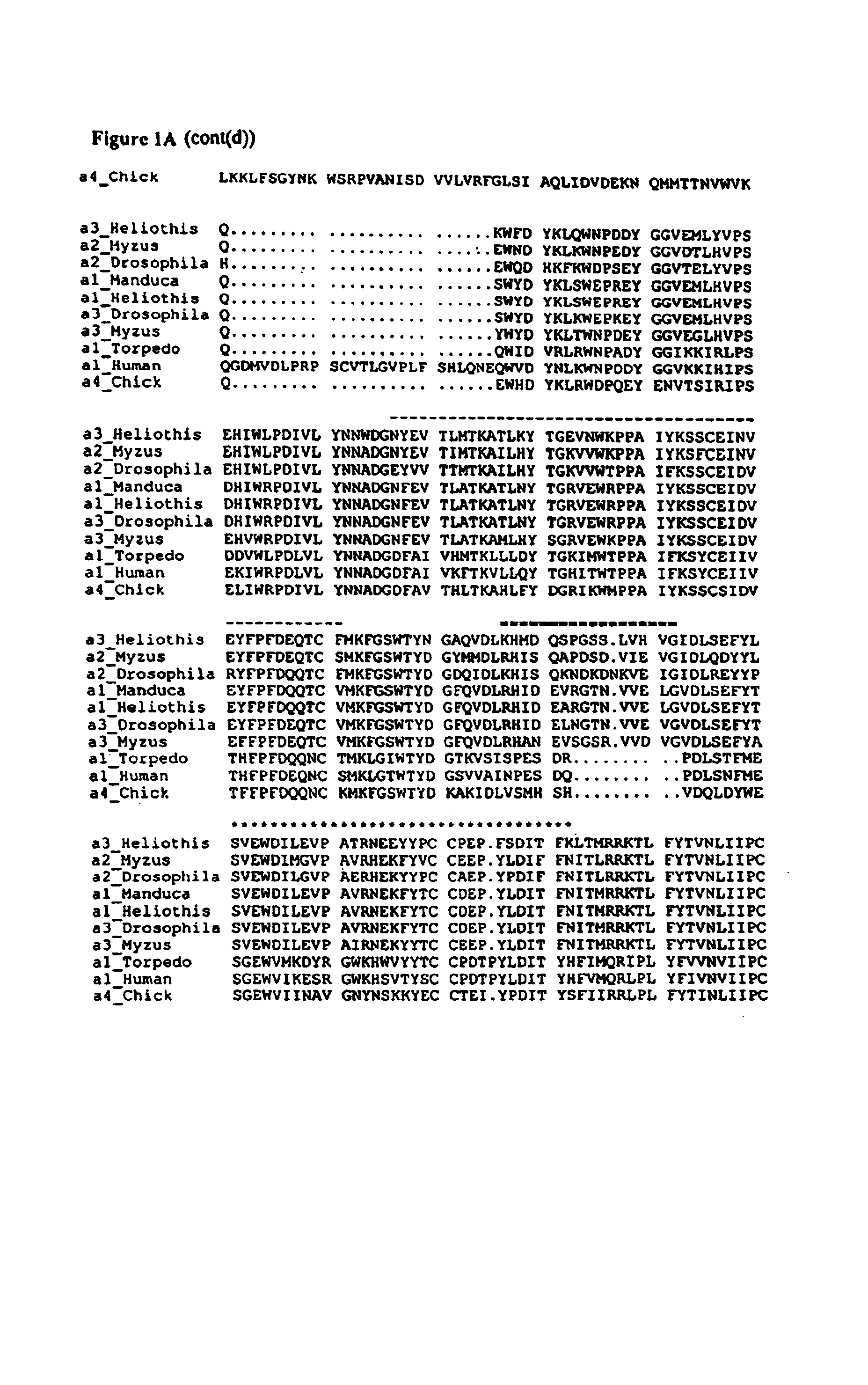 Acetylcholine receptor subunits