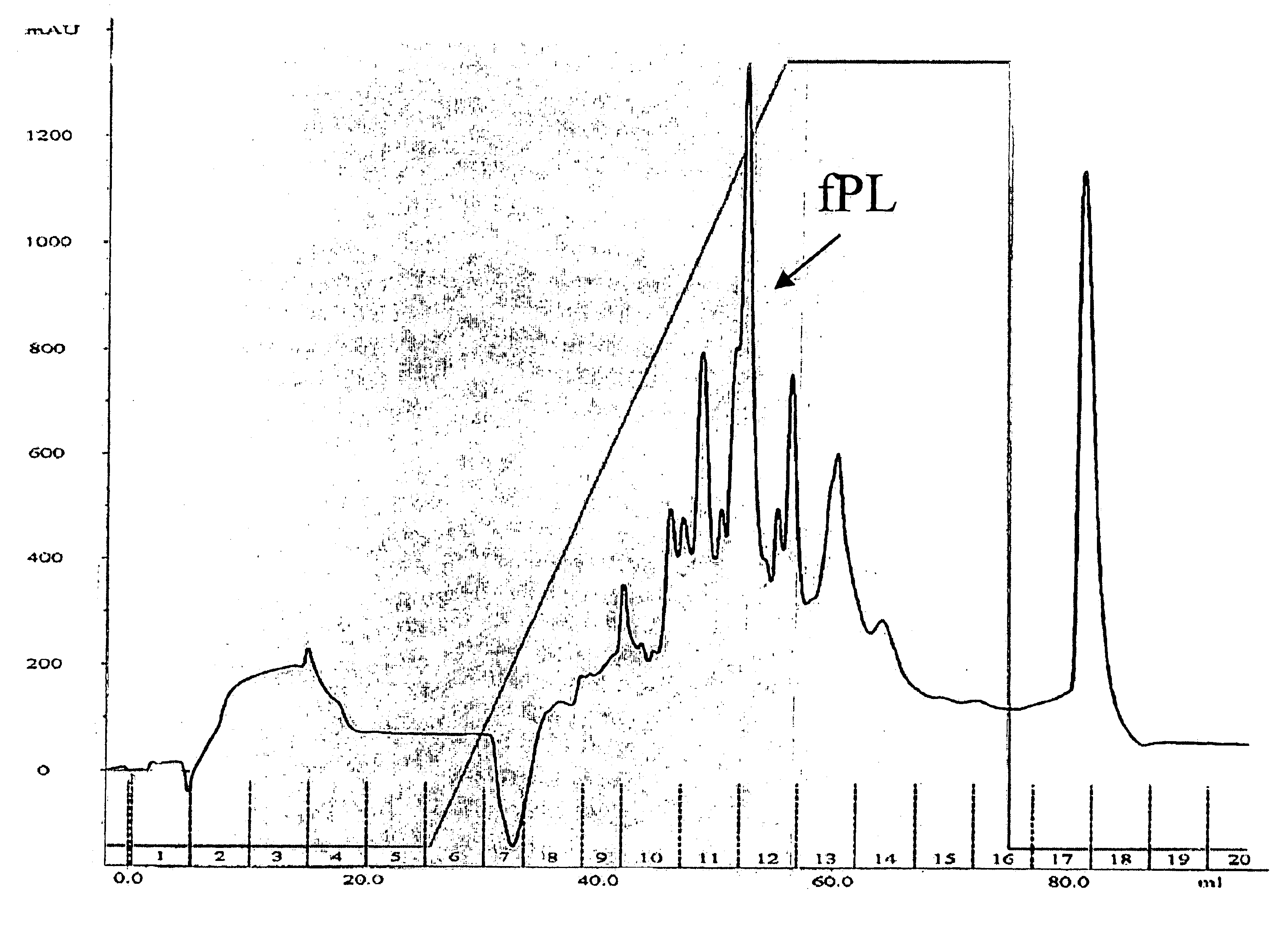 Feline pancreatic lipase composition and method of preparing and using such composition