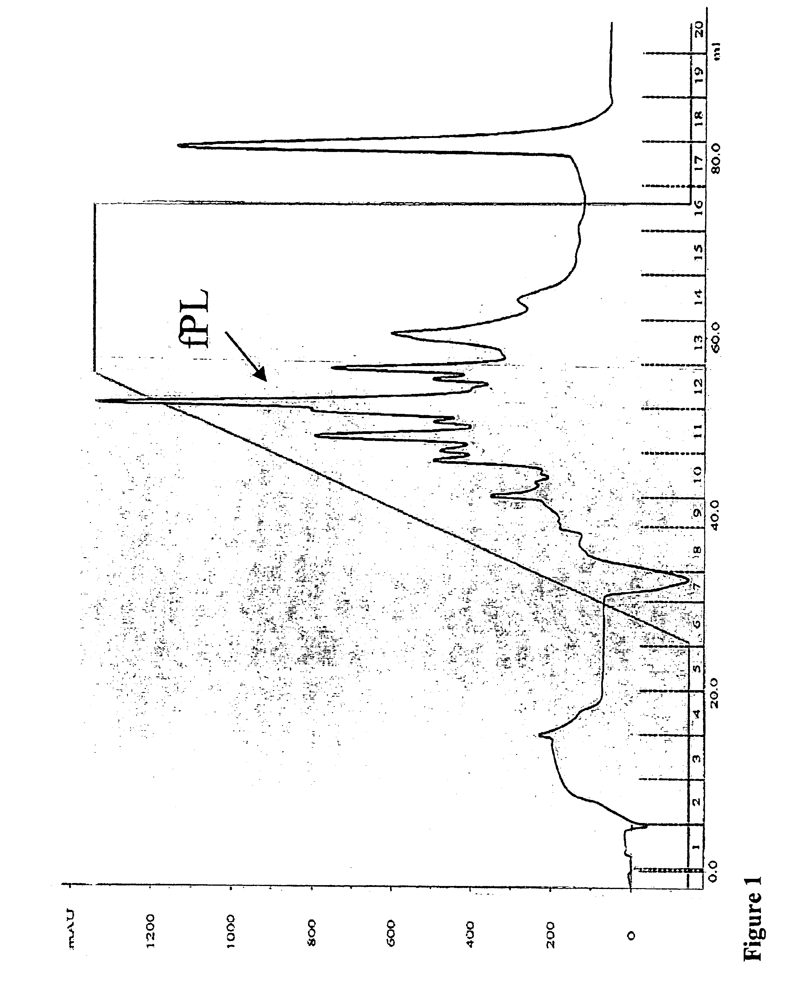 Feline pancreatic lipase composition and method of preparing and using such composition