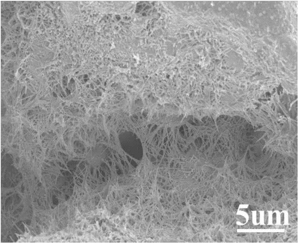 One-dimensional metallic oxide loaded titanium-based electro-catalysis film, preparing method and catalytic application