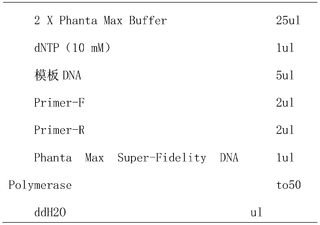 Preparation method for polyclonal antibody of specific recognition protein PRM2 and application of preparation method