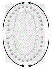 Oral cavity micro viewer application system and full-oral-cavity shooting method