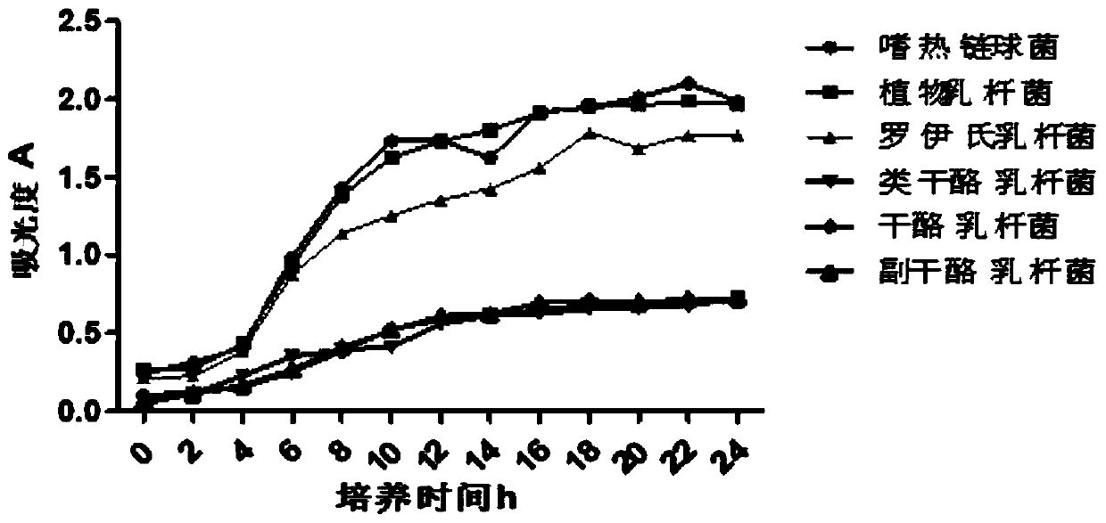 Plant-based smearing-type walnut cheese and preparation method thereof