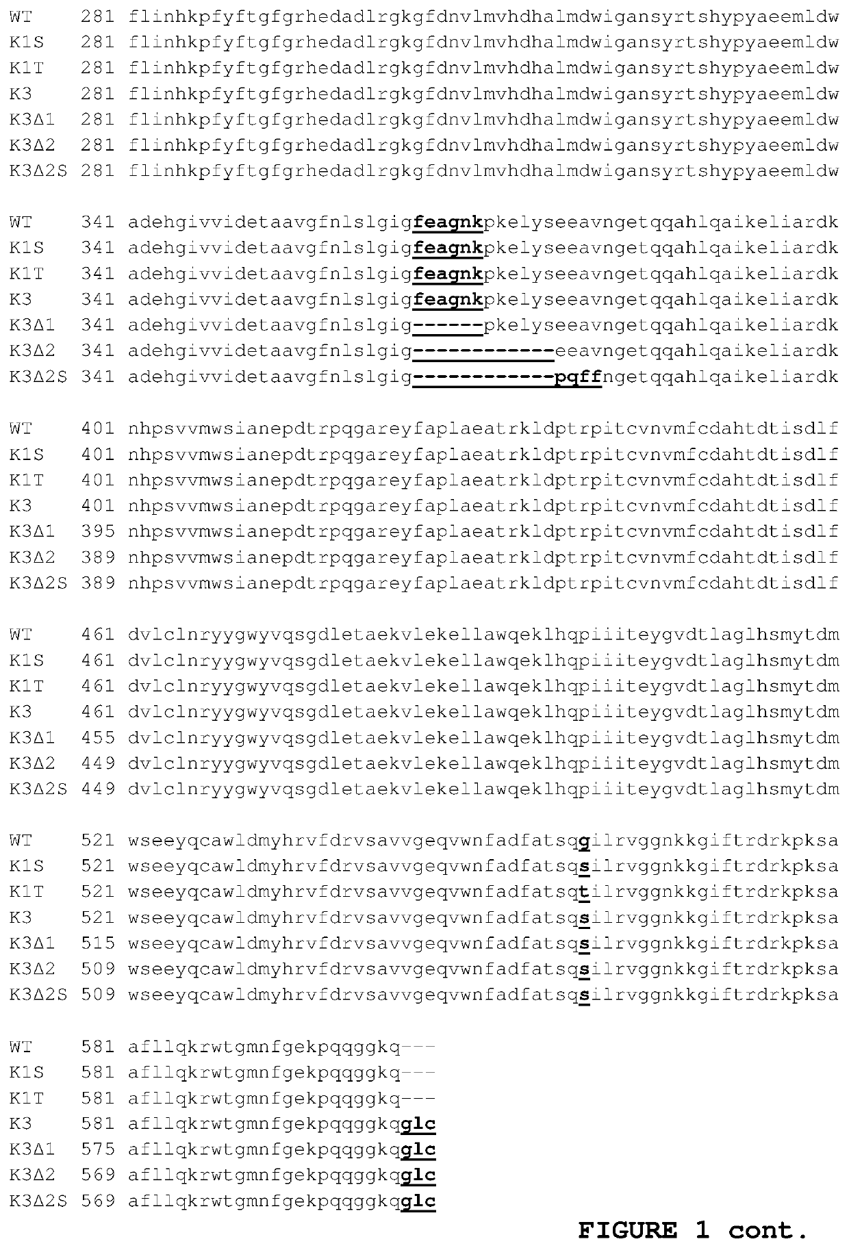 Thermostabile beta-glucuronidase formulations