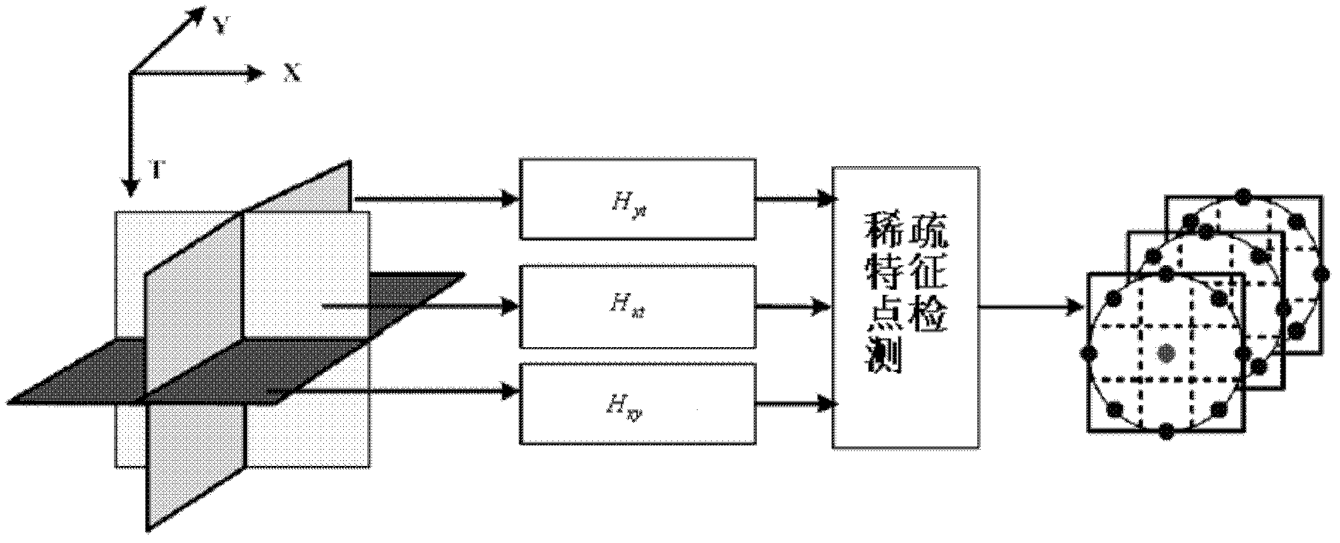 Video-processing-based crowd density and distribution estimation method