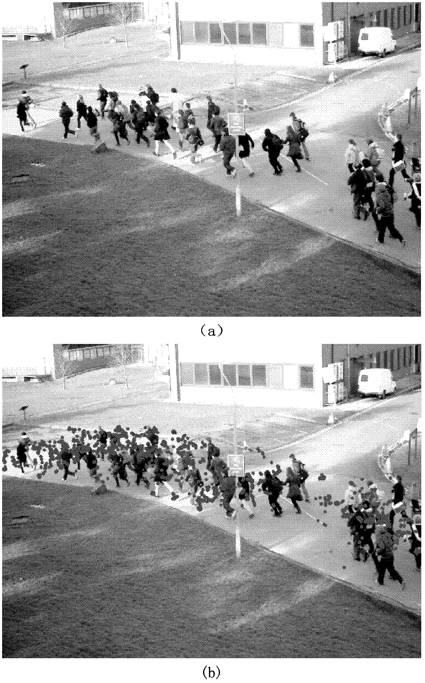 Video-processing-based crowd density and distribution estimation method