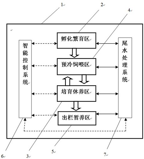 Amphibian variable temperature animal breeding technology and industrialized breeding system