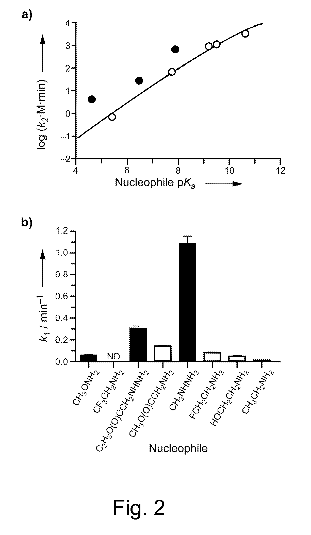 Reagents and methods for appending functional groups to proteins