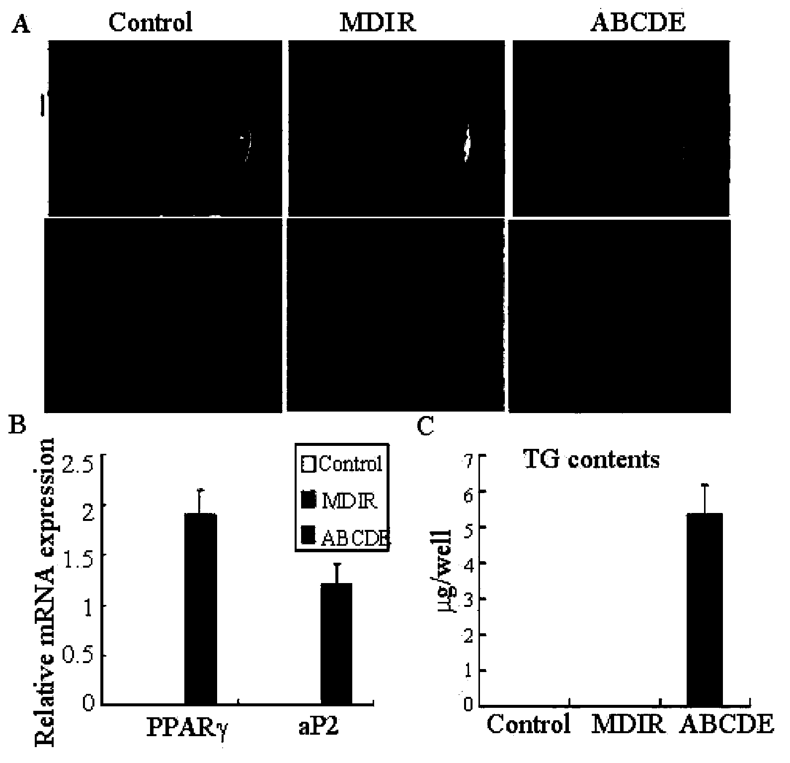 Application of determined cytokine combination to promote transdifferentiation of fibroblasts into adipocytes