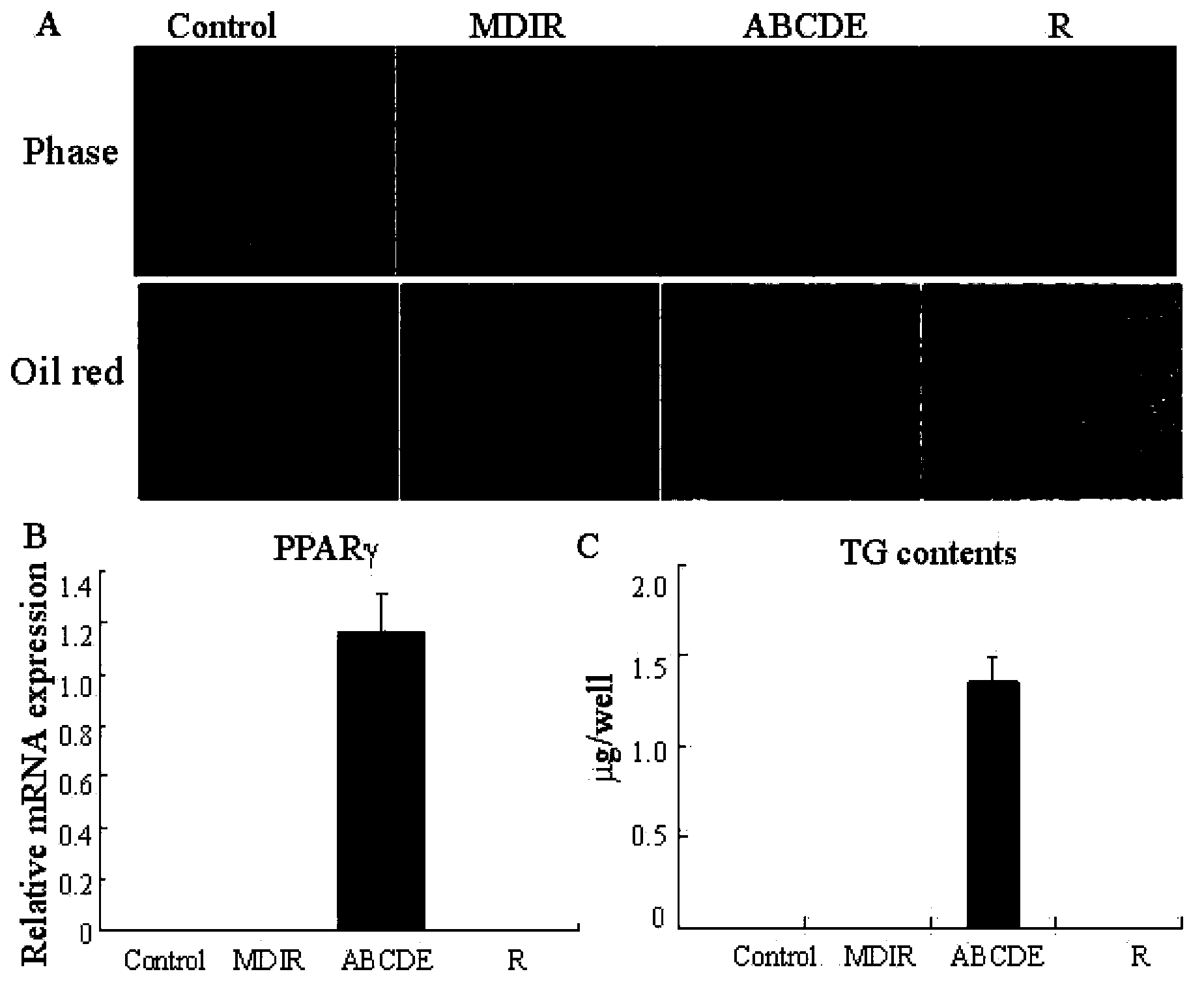 Application of determined cytokine combination to promote transdifferentiation of fibroblasts into adipocytes