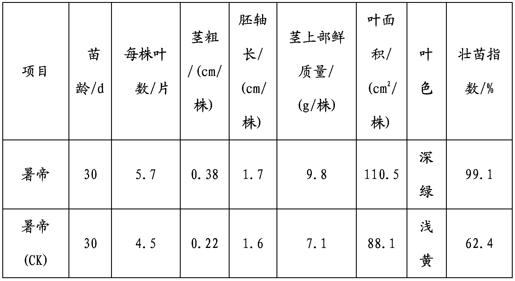 Method of cultivating early-maturing common head cabbage strong seedlings