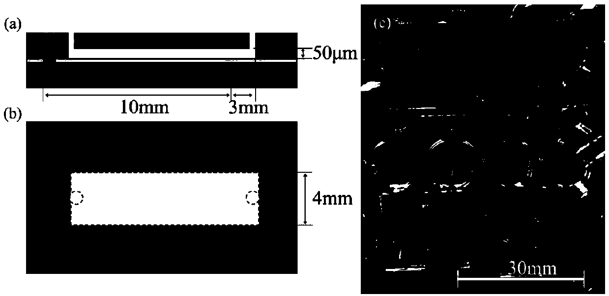 Hydrogel-based trace whole blood separation and plasma detection integrated microfluidic chip