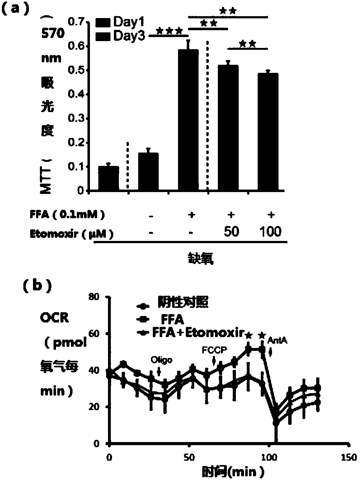 Medicament for improving drug resistance of solid tumors against anti-vascular drugs and application of CPT1a inhibitor in medicament