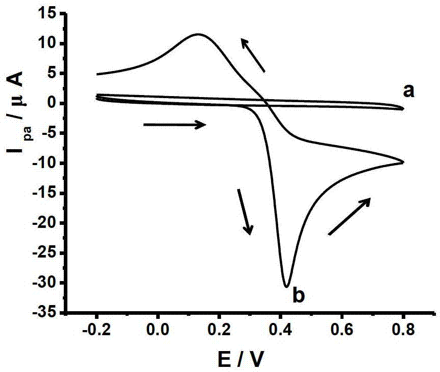 Graphene nano material-modified glassy carbon electrode based on phytic acid dispersion, preparation method and application