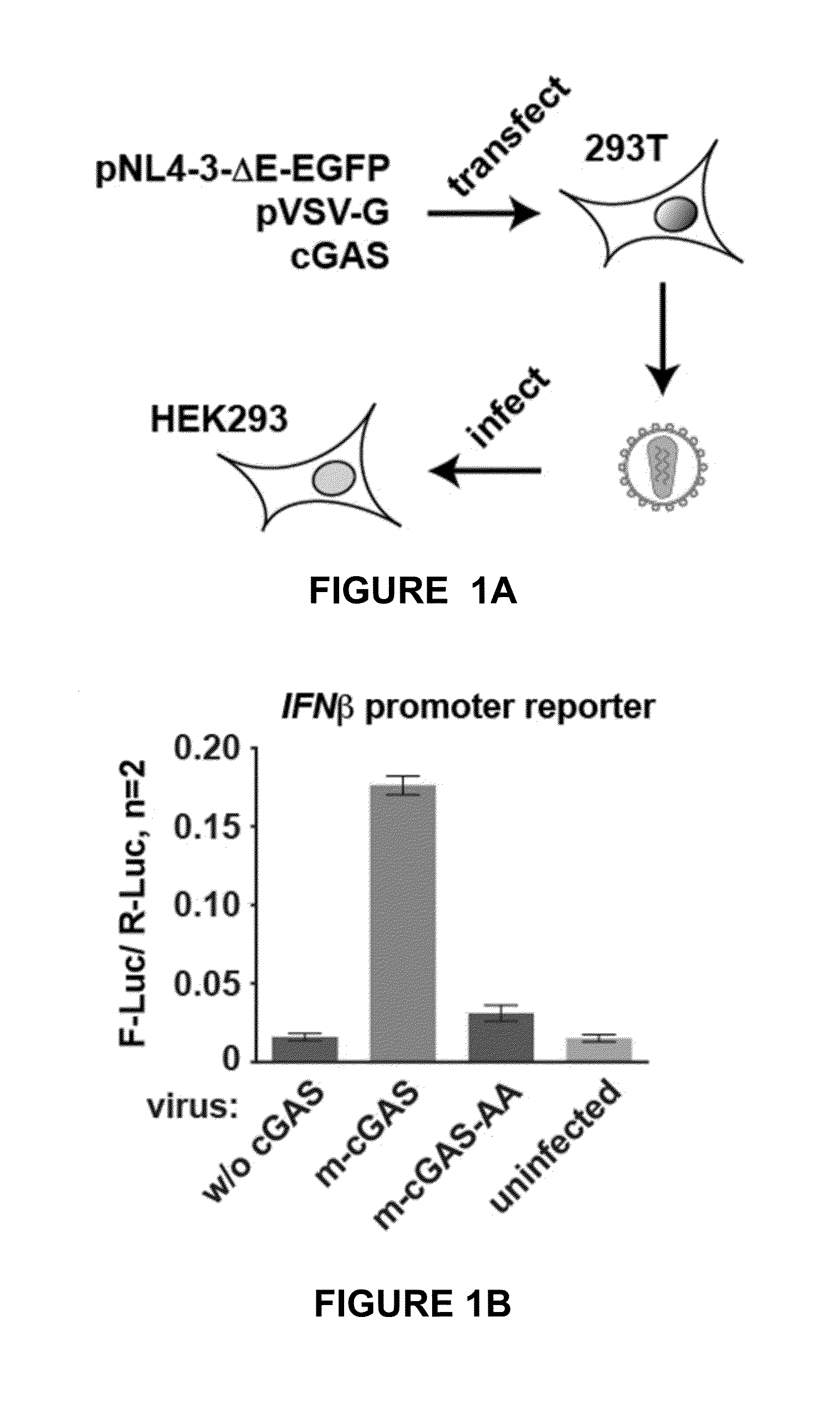 Method for preparing viral particles with cyclic dinucleotide and use of said particles for inducing immune response