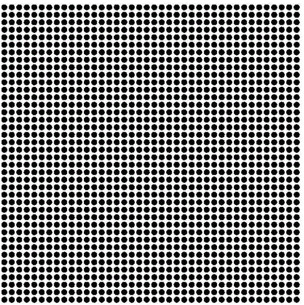 Optimization preparation method of experiment speckle field