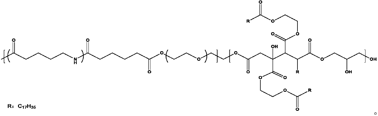 Chinlon hydrophilic softening finishing agent and preparation method thereof