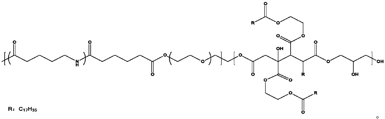 Chinlon hydrophilic softening finishing agent and preparation method thereof