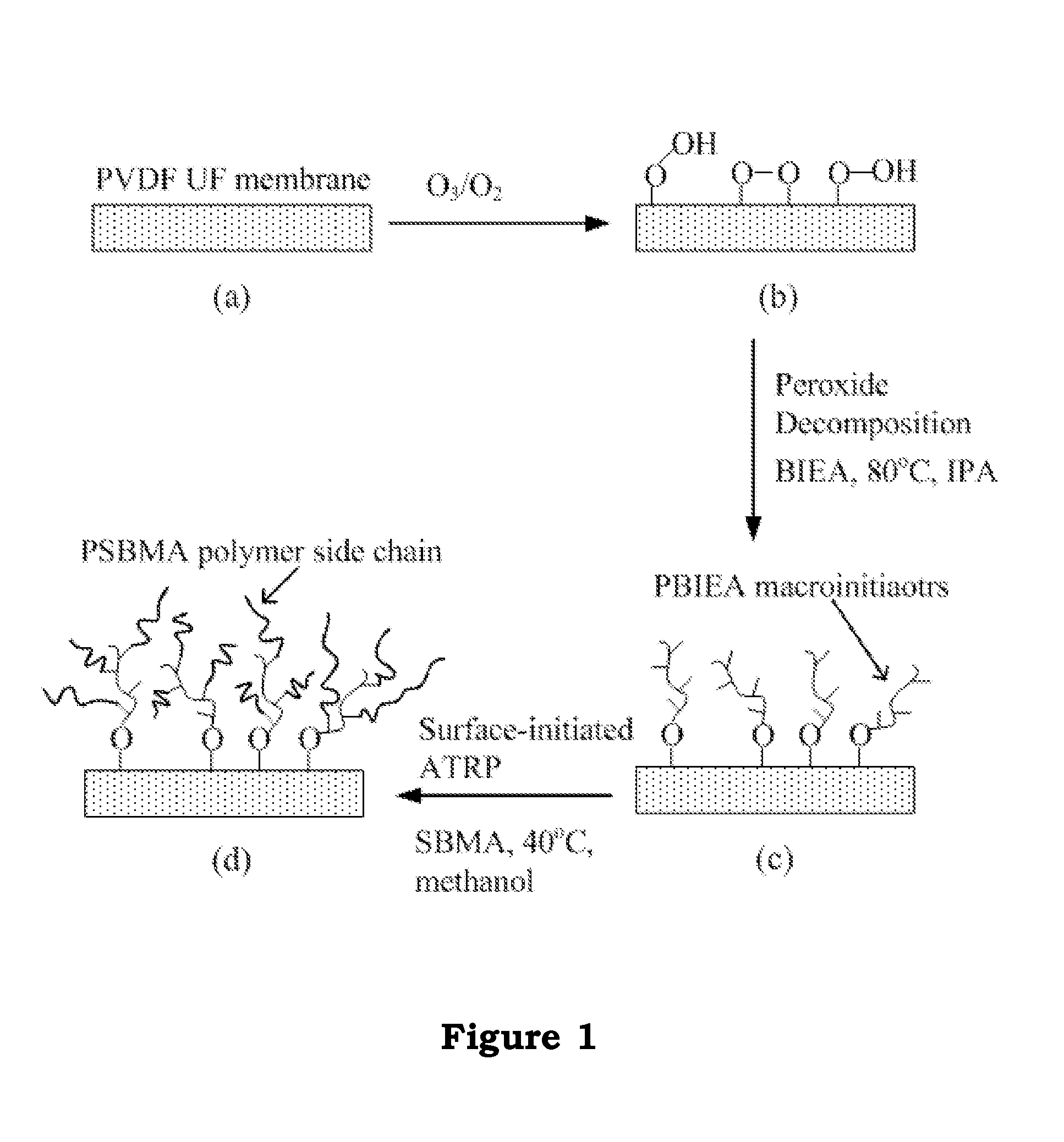 Low BIOFOULING FILTRATION MEMBRANES AND THEIR FORMING METHOD