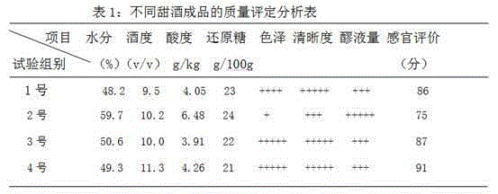 Preparation method of phellinus linteus sweet wine