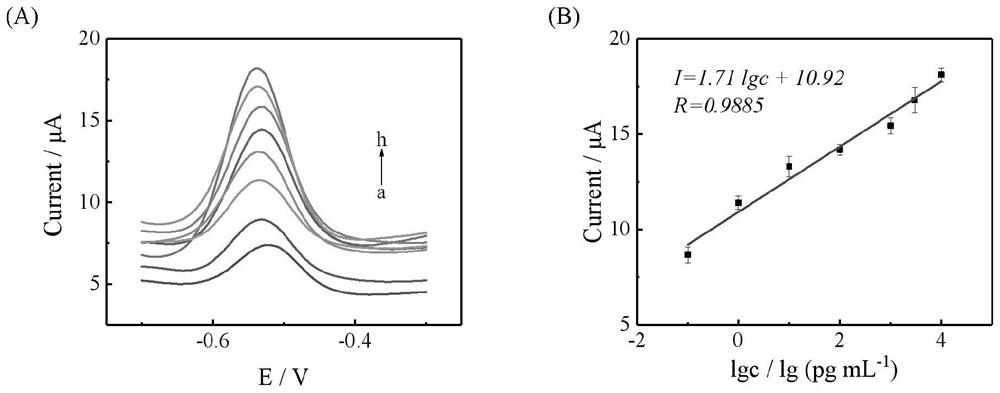 Electrochemical aptamer sensor for detecting mycobacterium tuberculosis MPT64 and detection method thereof