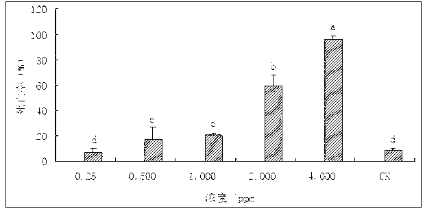 Application of pyrethrin in preventing and controlling Aleurodicus disperses Russell and pyrethrin synergistic composition