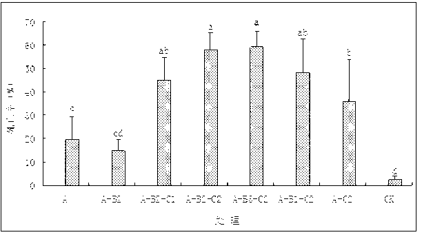 Application of pyrethrin in preventing and controlling Aleurodicus disperses Russell and pyrethrin synergistic composition