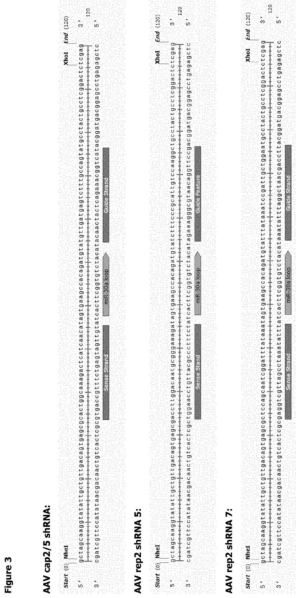 Methods for adeno-associated viral vector production