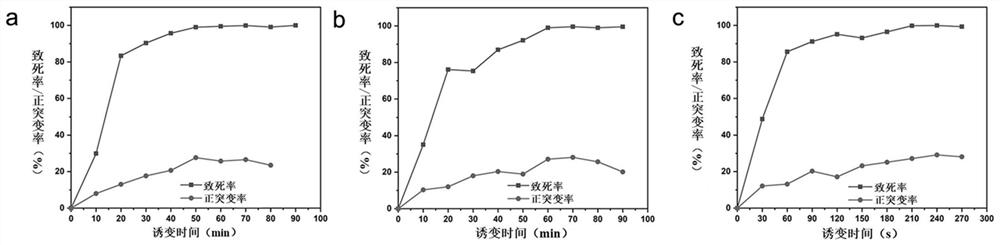 Method for screening high-yield cellulase filamentous fungi through self-adaptive mutagenesis