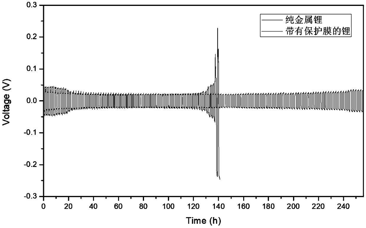 Lithium negative electrode protective film, preparation method and lithium metal secondary battery