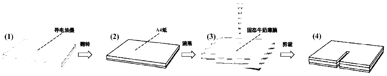 A milk protein-based triboelectric nanogenerator and method thereof