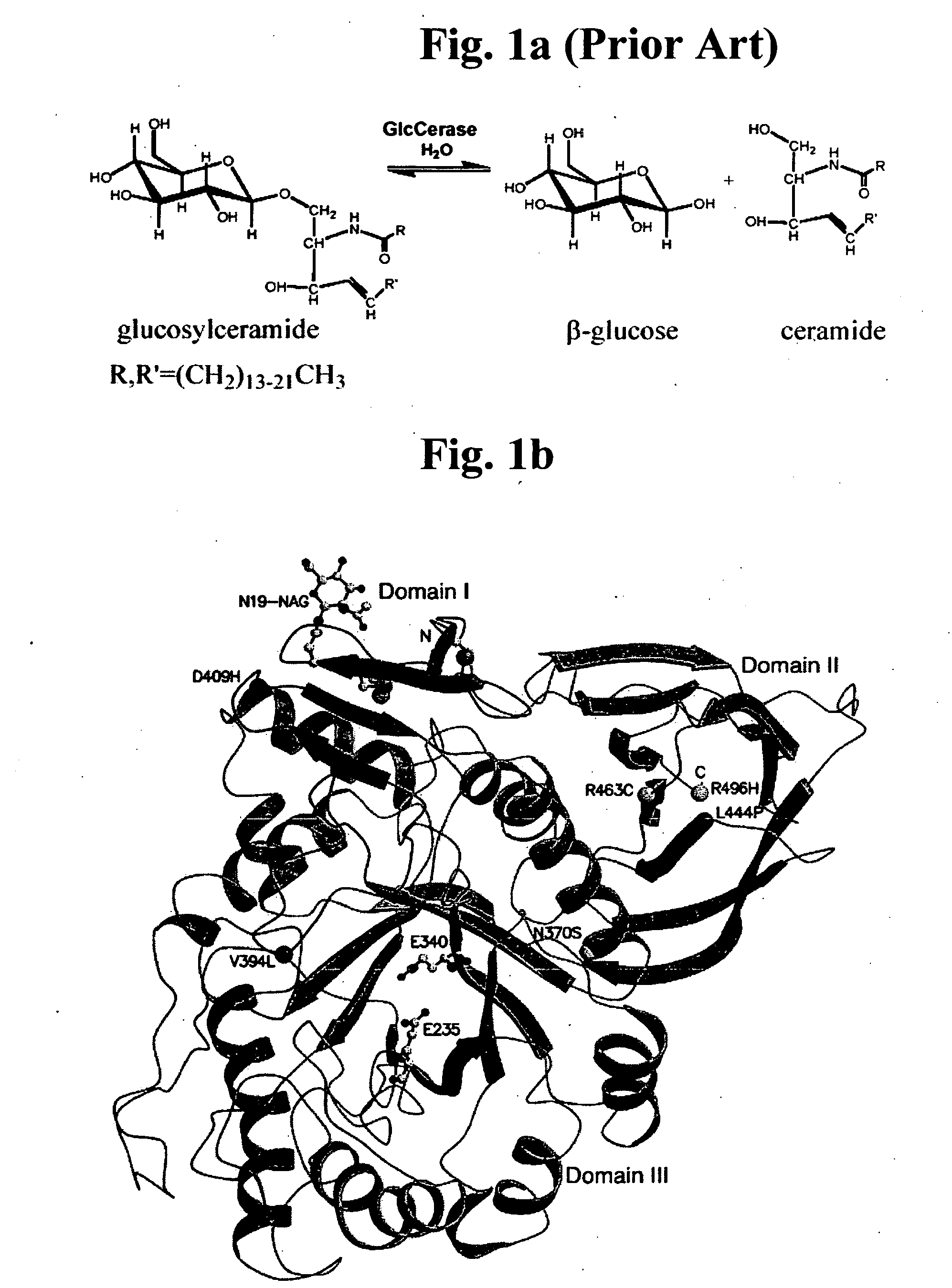 Gaucher disease drugs and methods of identifying same