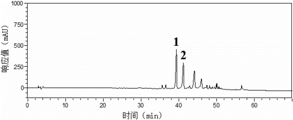 Method for preparing aescin of Chinese buckeye seeds