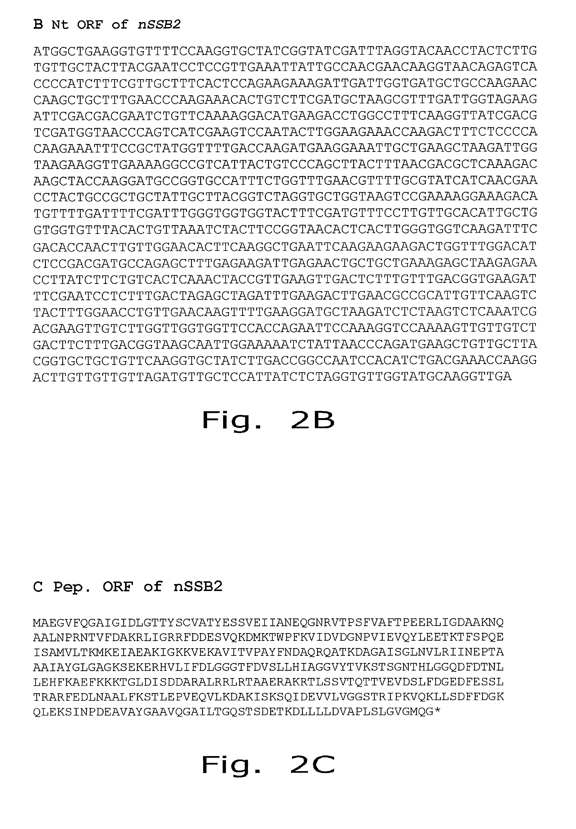 Ethanol yield and reduction of biomass accumulation in the recombinant strain of Saccharomyces cerevisiae overexpressing atpase