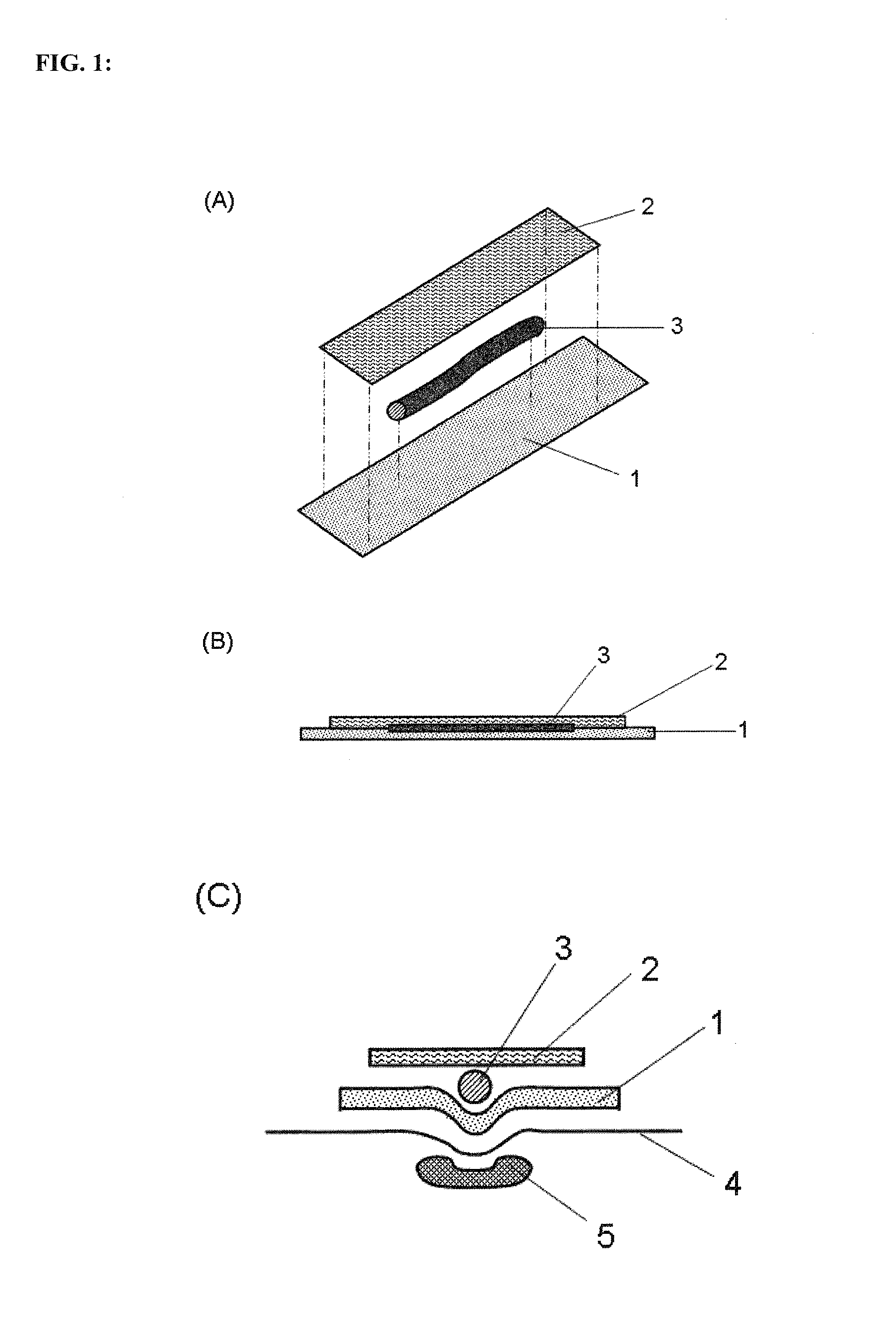 Adhesive patch or bandage for use in treating blood vessel diseases