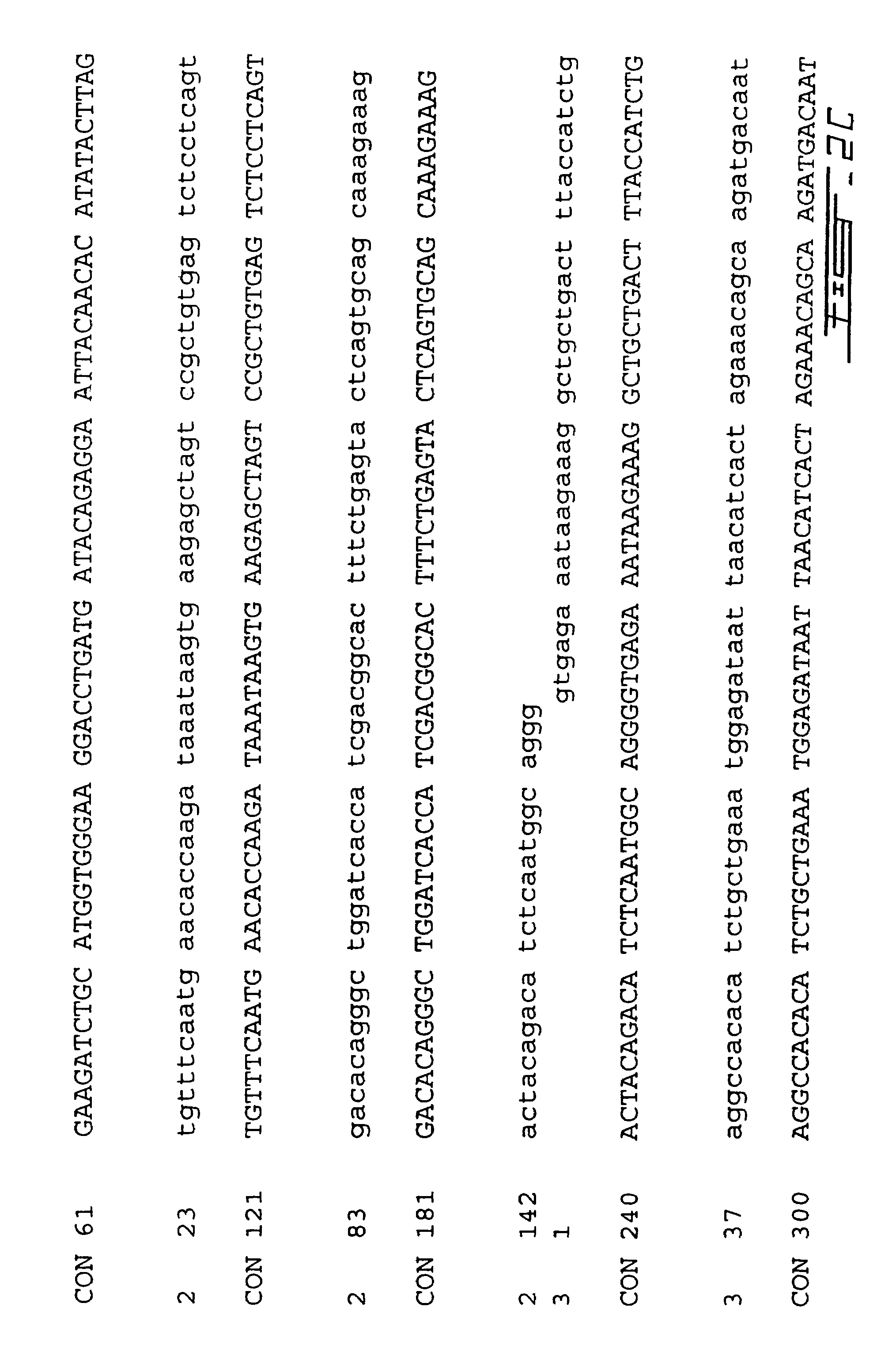 PCA3, PCA3 genes, and methods of use