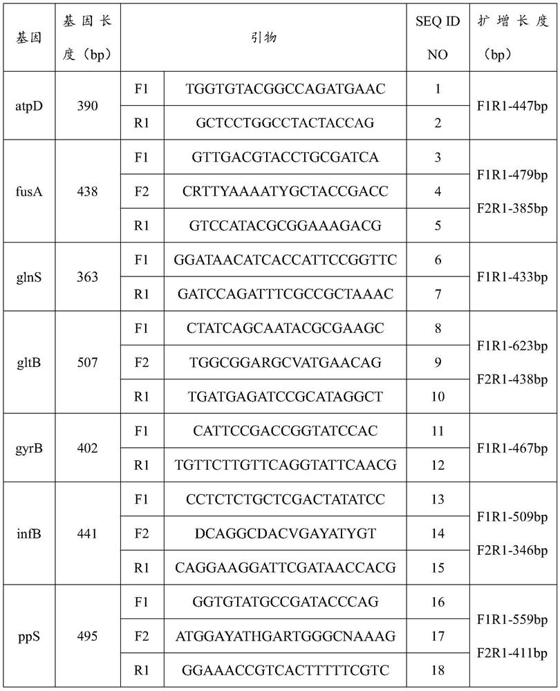 Primer group for amplifying cronobacter kronoi MLST (multiple-locus typing) tracing housekeeping genes, next-generation sequencing library building method and application