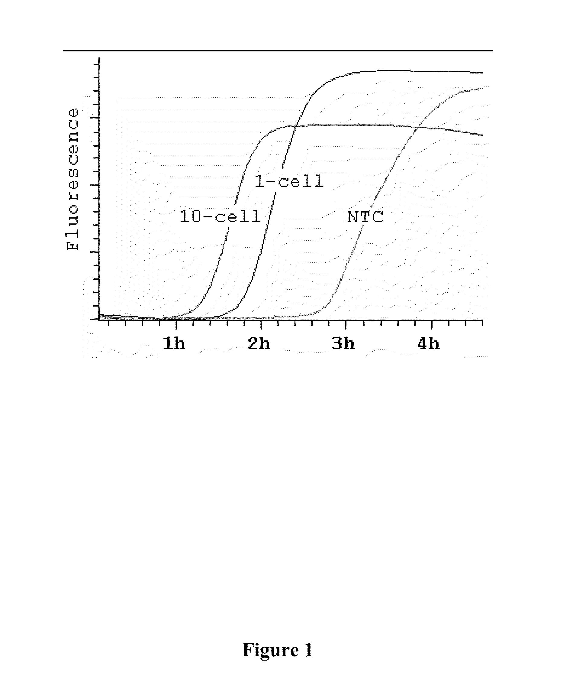 Genomic library construction