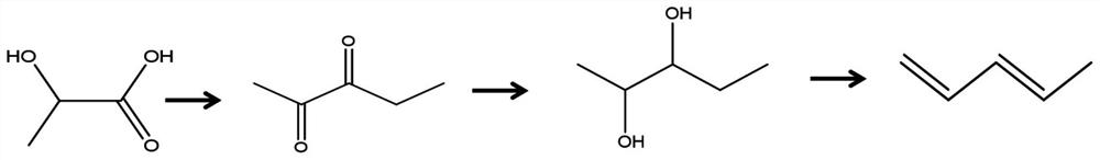 A kind of synthetic method of pentanediol and a kind of synthetic method based on lactic acid conversion to prepare biomass baseline linear pentadiene